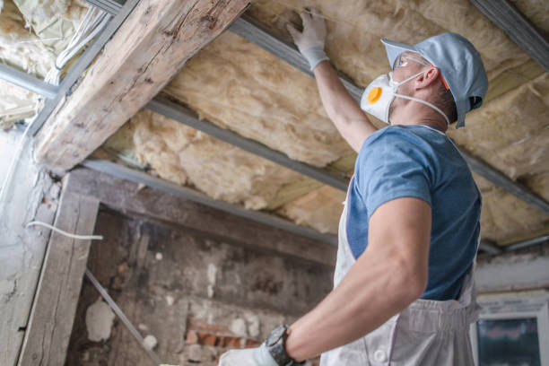 Best Attic Insulation Installation  in Somersworth, NH
